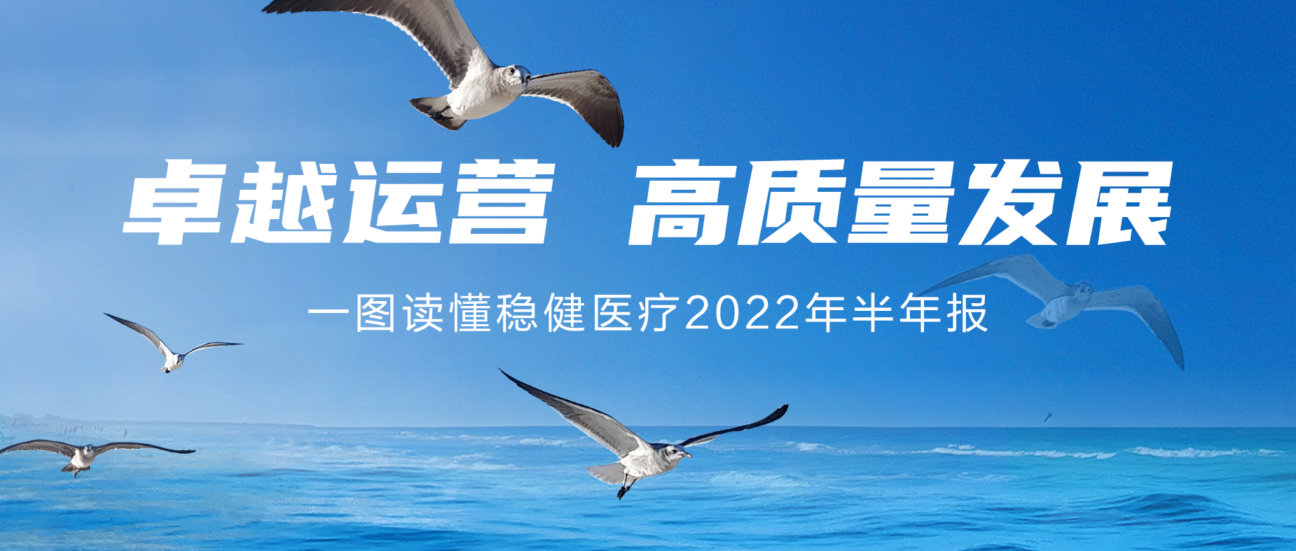 һͼ6t2022걨