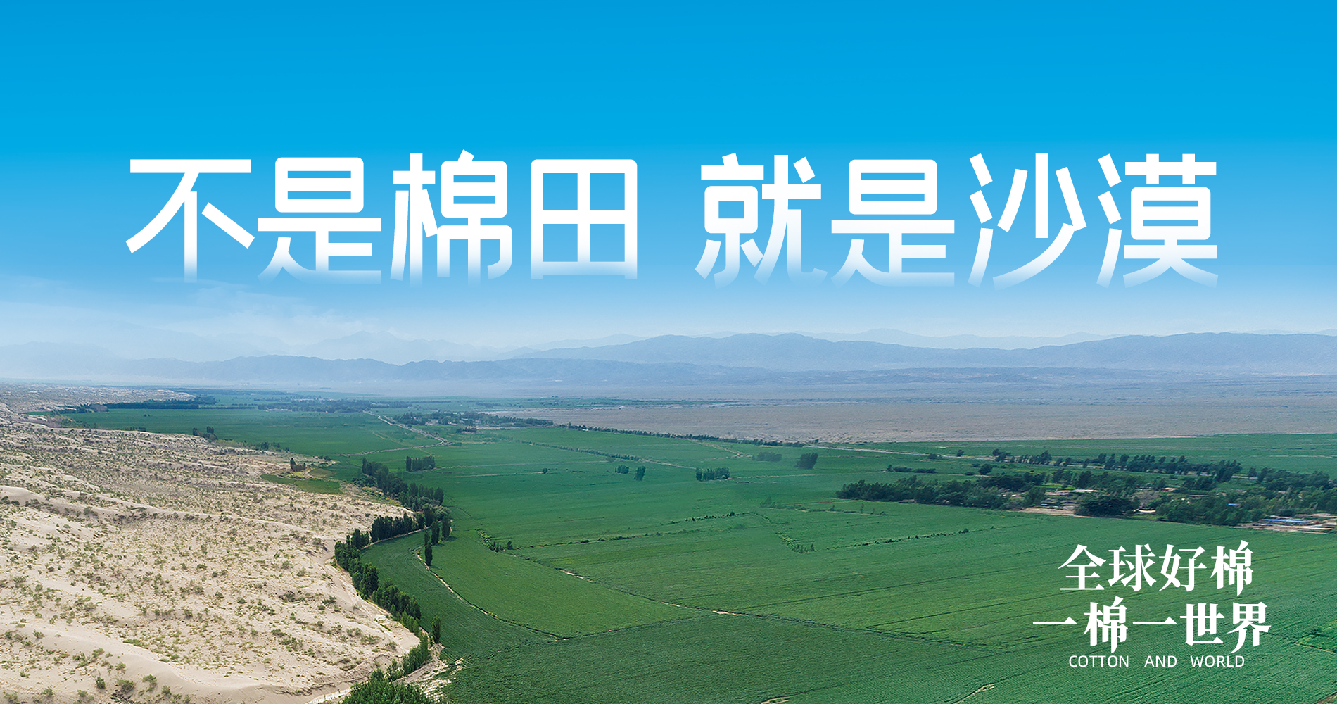 6t�������Ŷ��»��Ԫ������